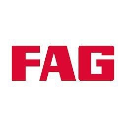 Группа Schaeffler, объединяющая в себе торговые марки INA, FAG,___